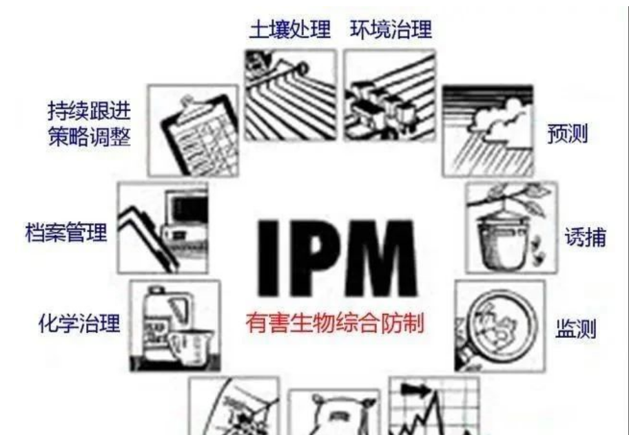 看不见的威胁,看得见的守护 | 世界害虫日,卫民在行动 看不见的威胁,看得见的守护 | 世界害虫日,卫民在行动